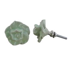 Light Green Small Knob